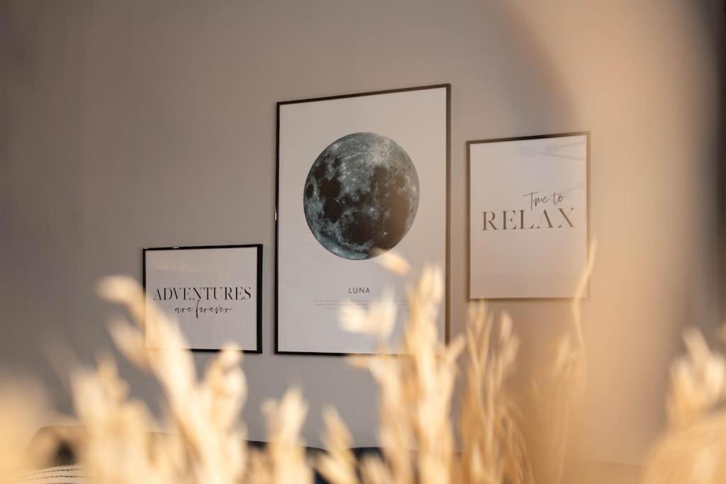 Blue Moon. Cozy Apartment Near Iulius Mall Kolozsvár Kültér fotó