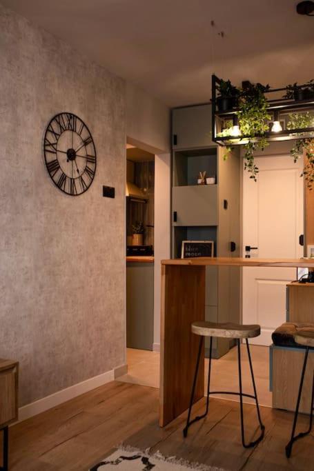Blue Moon. Cozy Apartment Near Iulius Mall Kolozsvár Kültér fotó